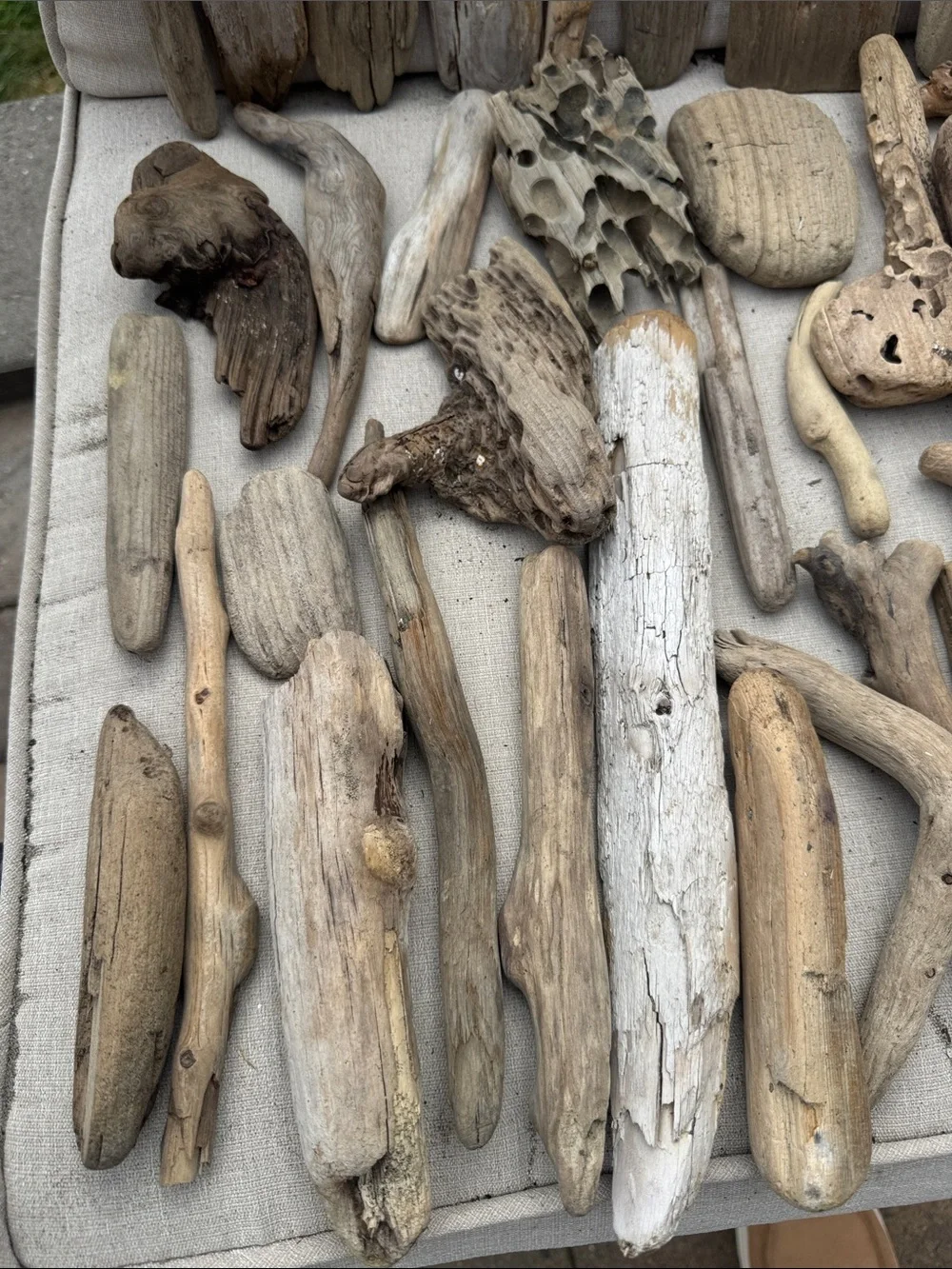 43 pc for (5 lbs shipped) Box of Natural Driftwood Pieces Decor Crafts Projects
